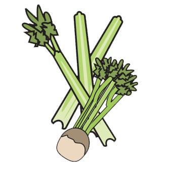 Celery