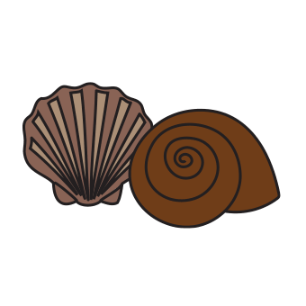 Molluscs